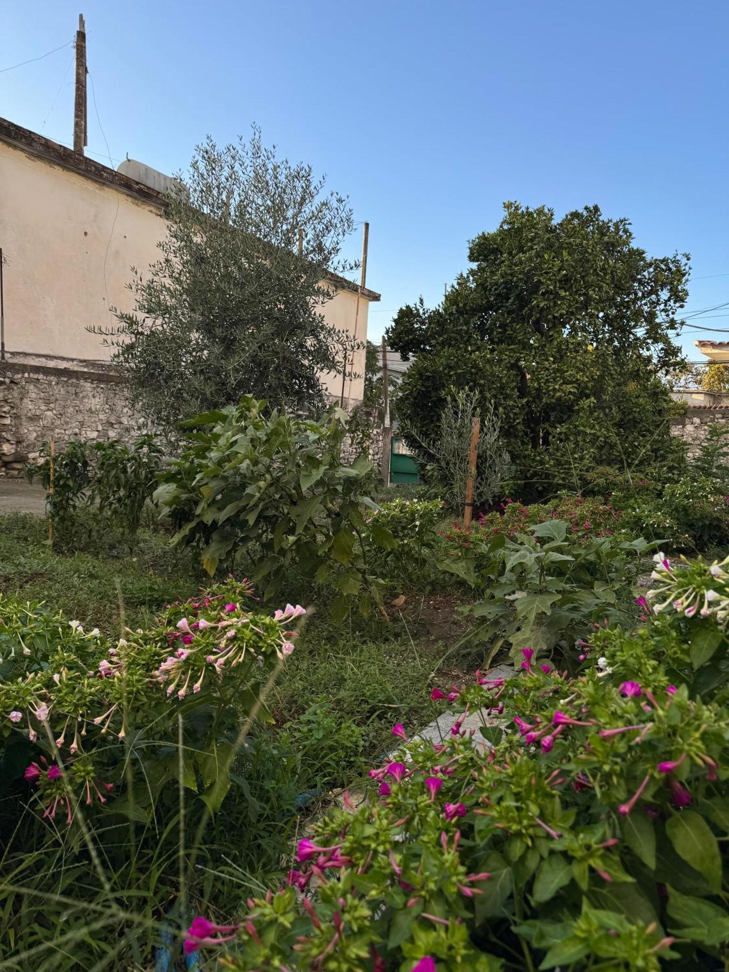 Hostel Ardjon House Berat Exterior foto